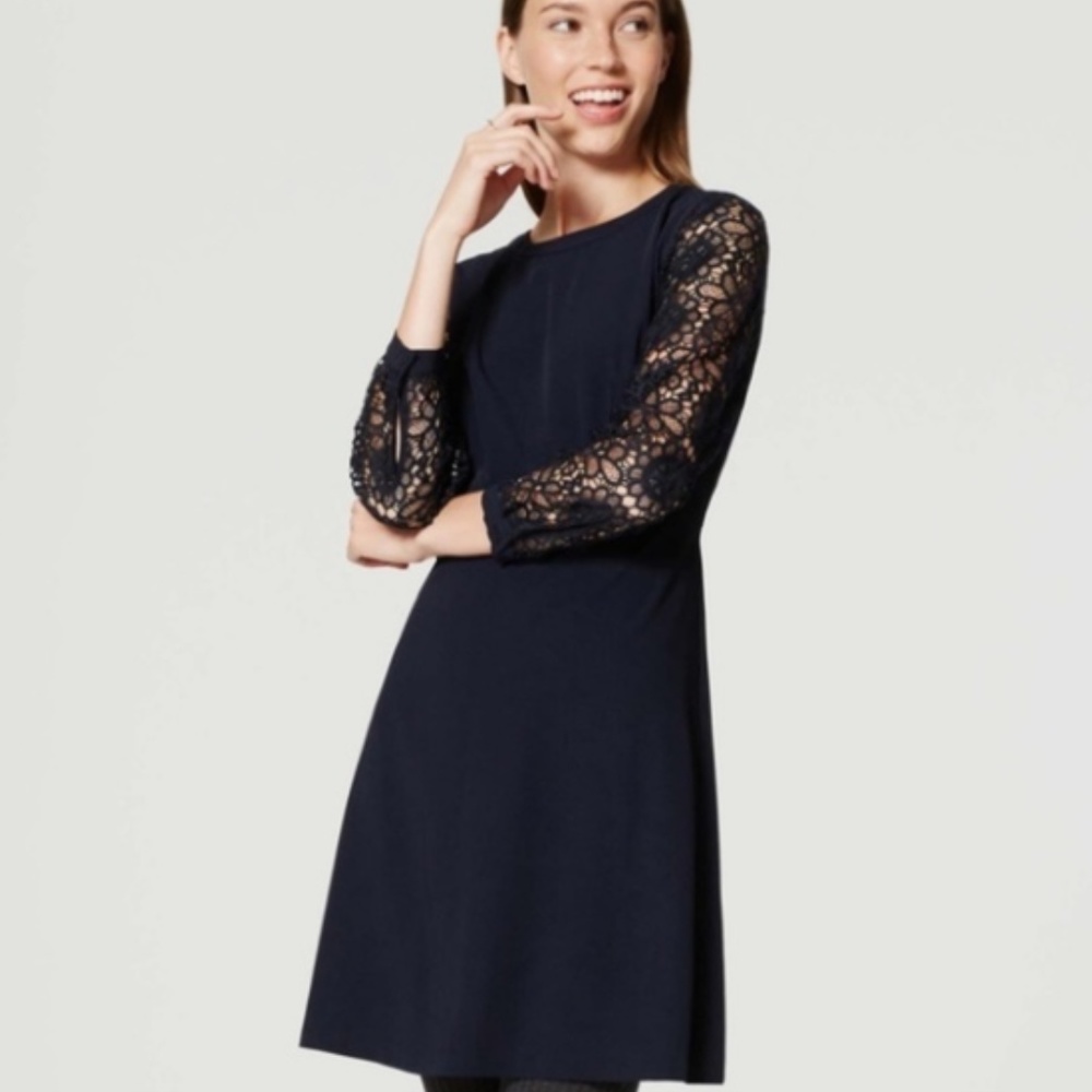 Navy, lace sleeve, Loft dress, 10P